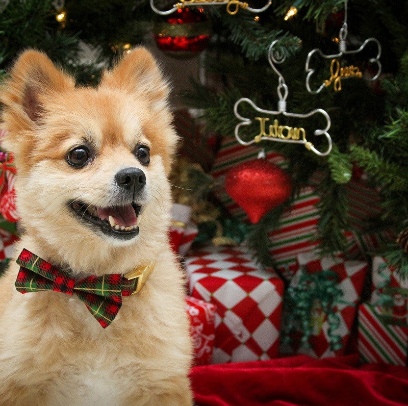 customized dog wire ornament